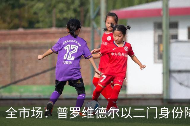 全市场：普罗维德尔以二门身份降薪加盟国米，但他有信心争夺主力